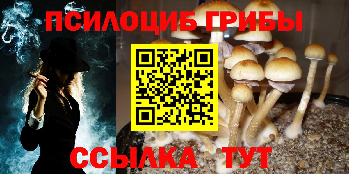 Псилоцибиновые грибы прущие грибы  Галлюциногенные грибы MAGIC MUSHROOMS  Норильск  Вход с VPN 